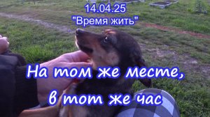 14.04.25 А наше Время Жить продолжается