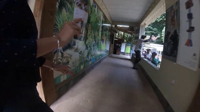 Mystic South Full-day Private Tour