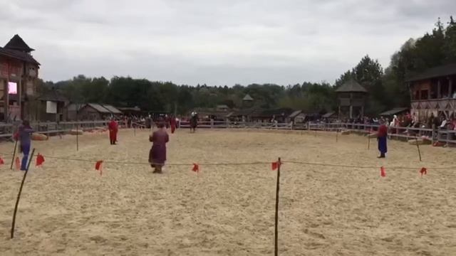 Панасенко Владислав кентавры 2017