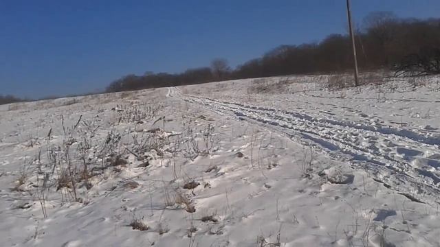 Только мы с конём смотреть онлайн