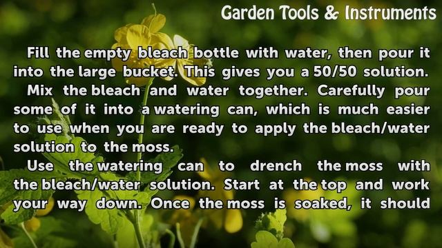 How to Kill Moss With Bleach смотреть онлайн