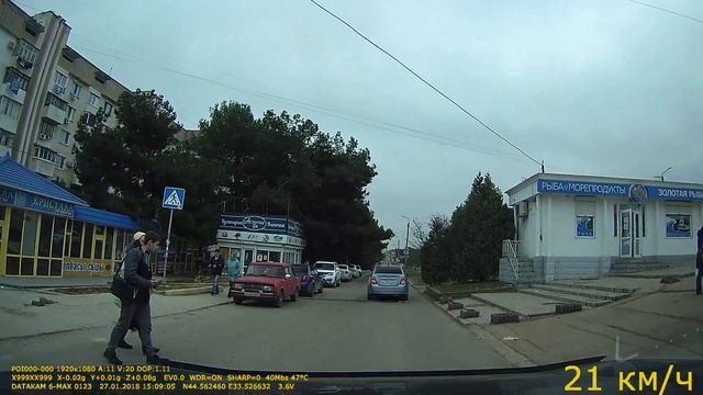 про пешеходов дятлов