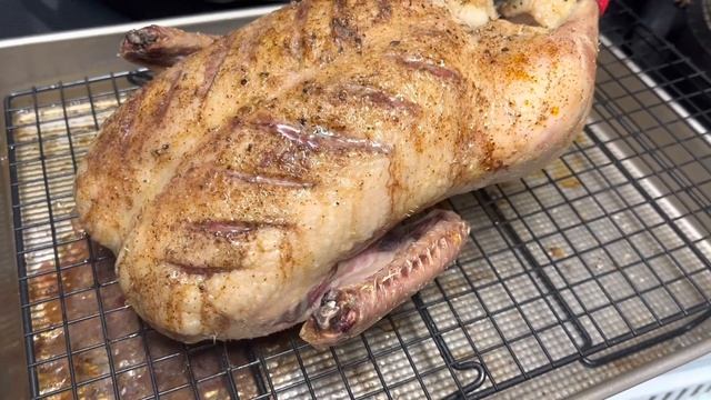 Duck Tacos смотреть онлайн