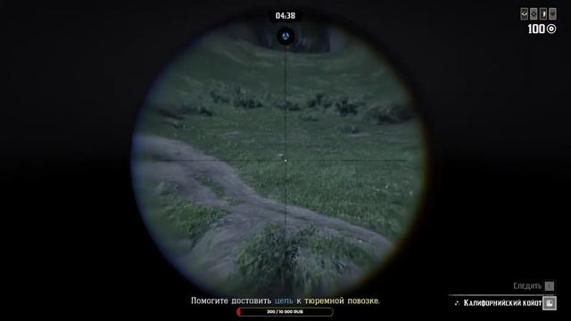 Стрим Red Dead Redemption Online (16), Защита города, Кормление Свинок любителем Азартных игр, Бок смотреть онлайн