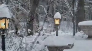 Сальваторе Адамо   Падает Снег