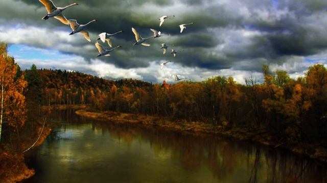 Журавлей прекрасных стая… исполняет Владислава Вдовиченко смотреть онлайн