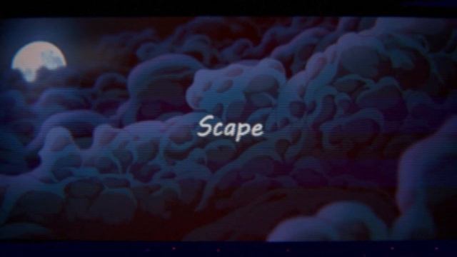 HENSONN - SCAPE