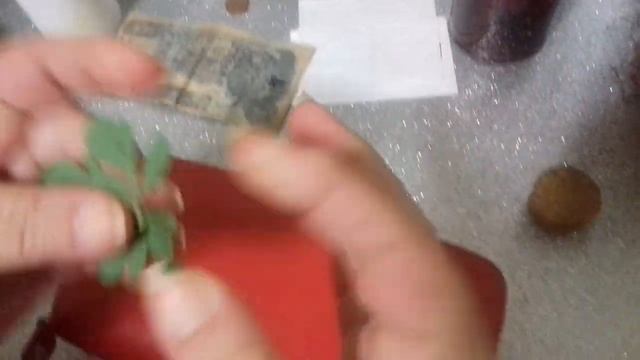 SI QUIERES QUE NUNCA TE FALTE DINERO EN TU CARTERA TE SORPRENDERÁS смотреть онлайн