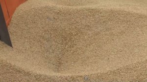 ЗУС-7К Загрузчик сеялок применяется для а/м Камаз (сельхозник)