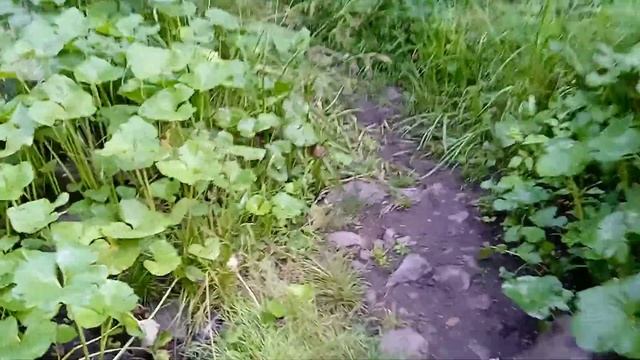 Речка Каменка