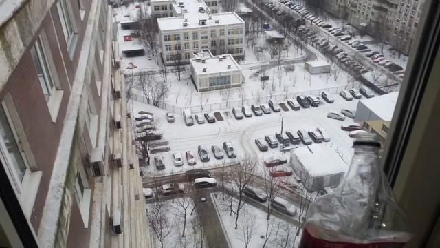 Помидоры зимой выращивание на подоконнике в квартире Москва смотреть онлайн