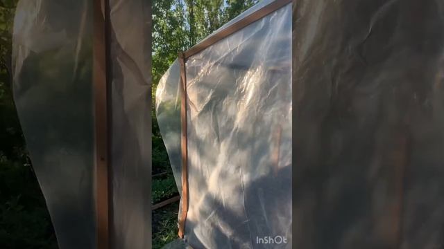 Как сделать быстро огуречник 🥒 смотреть онлайн