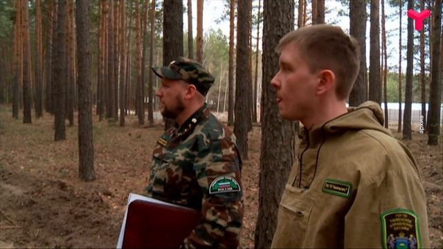 Режим повышенной готовности смотреть онлайн