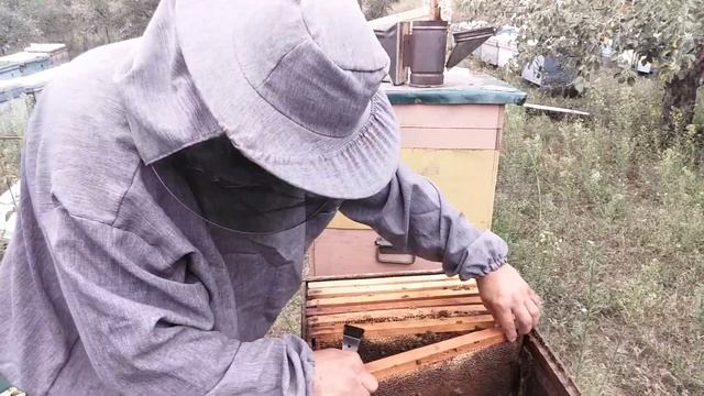 ДВУХКОРПУСНОЙ ДАДАН смотреть онлайн