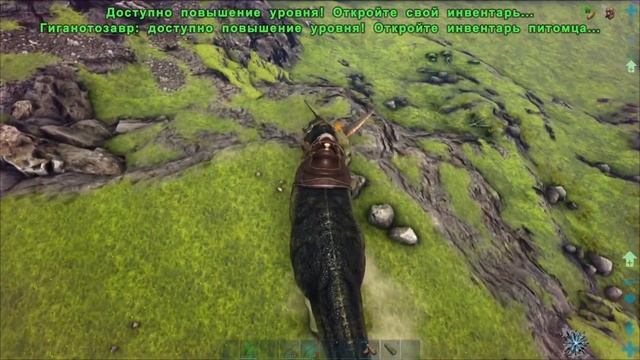 Гигантозавр в Арк| Приручение Гигантозавра в Ark| ARK Survival Evolved