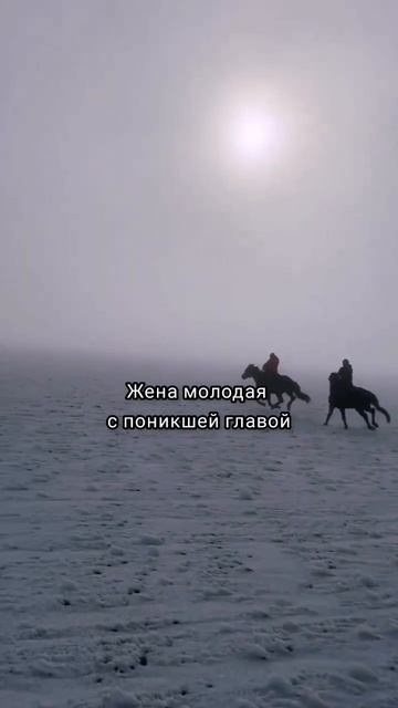 уж Трам Абазинский.💚 Кабардинская порода лошадей🔥 #shorts