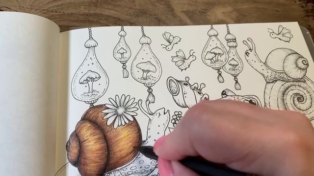 Adult Coloring - Klara Markova Fairy Celebrations part 1 смотреть онлайн