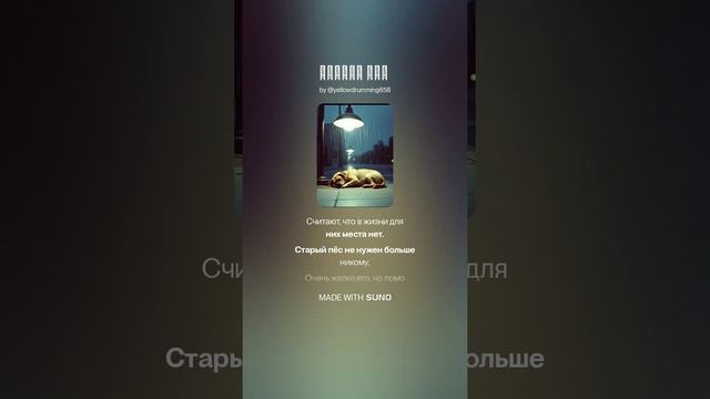 Старый пёс #старыйпес