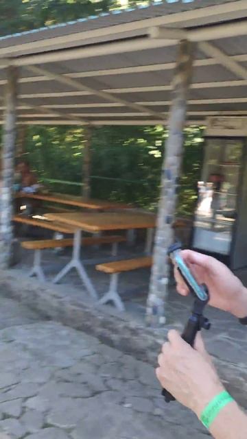 Тисо-Самшитовая роща, Хоста смотреть онлайн