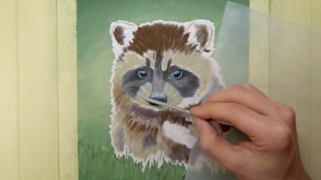 Soft Pastel Painting | Baby Raccoon смотреть онлайн