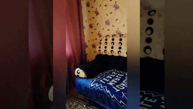 Большая квартира для Вашей семьи смотреть онлайн