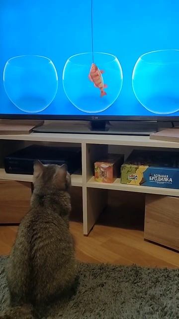 Рыбы- недотроги. 🐡🐟🐠🐈 смотреть онлайн