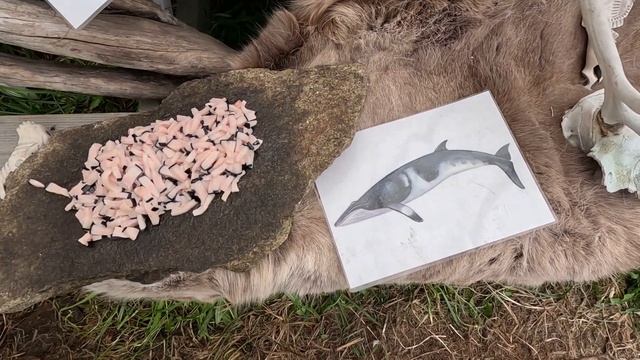 #22 Greenland: Food tasting and exploring Sisimiut! смотреть онлайн