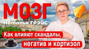 КАК ВЛИЯЮТ НА МОЗГ И МЫЛИТЕЛЬНЫЕ СПОСОБНОСТИ СКАНДАЛЫ, НЕГАТИВ И КОРТИЗОЛ | НАТАЛЬЯ ГРЭЙС