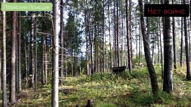 Опять гулял - телят искал. смотреть онлайн