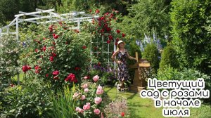 Цветущий сад с розами в начале июля