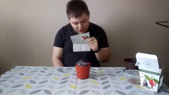 РАССАДНО-ОГОРОДНАЯ ЖИЗНЬ (перец острый) смотреть онлайн