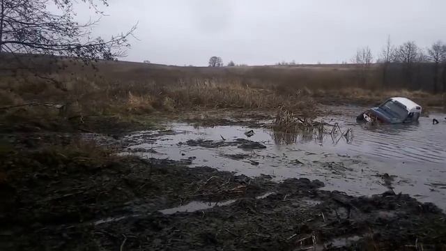 VID 20171111 150044 смотреть онлайн