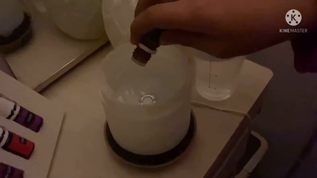 [Young Living] Cara Untuk Guna Desert Mist Diffuser Pertama Kali