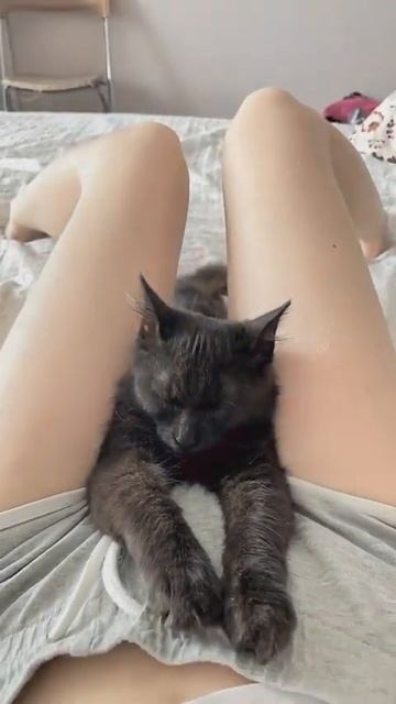 #cat #girl #viral #viralshorts #youtubeshorts #shortvideo #youtubechannel #short #shorts