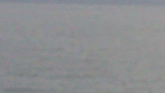 Чарное море. Дельфины смотреть онлайн