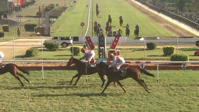 MYSTIC DIVINE with P Sai Kumar up wins The Vidhatri Motors Cup 2023 смотреть онлайн