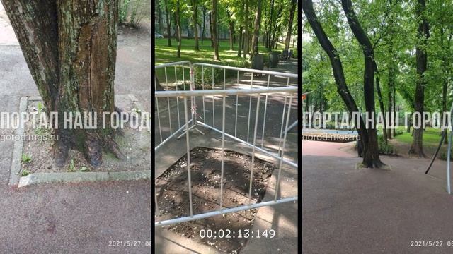Прогулка в ГАУК Бабушкинский 03 июня 2021 года