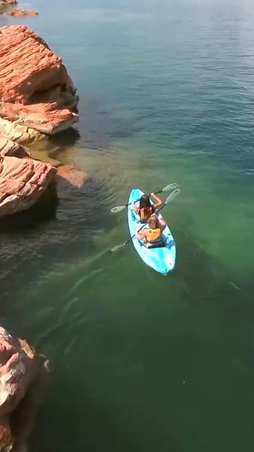 Find Hidden Gems You Never Knew EXISTED! смотреть онлайн