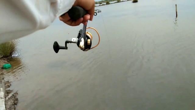 Cara Agar tidak boncos saat mancing - mancing barramundi смотреть онлайн