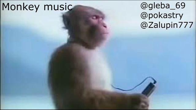Beginning - Monkey Music смотреть онлайн