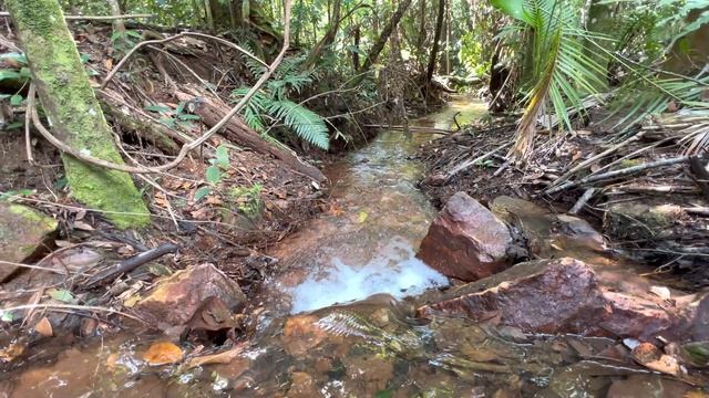 Relaxar e Dormir com o Som de Água Corrente смотреть онлайн
