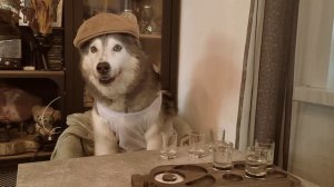 ПСАФИЯ. 1 серия