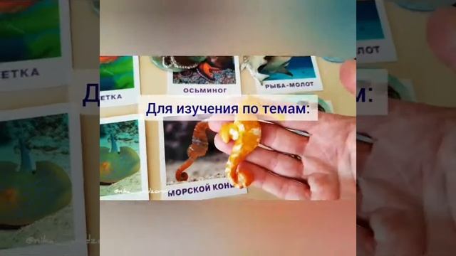 РЫБЫ и не только смотреть онлайн