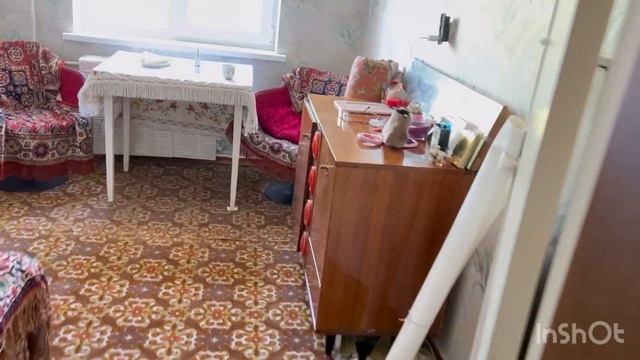 Утро доброе ☕️Куда пойти куда податься 🤨Мой сегодняшний день 👱🏻♀️Гуляю