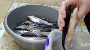 № 359 - Засолка донской селедки.