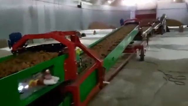 Сортировка картофеля смотреть онлайн