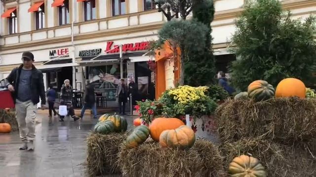 В городе лошади В городе зебры смотреть онлайн