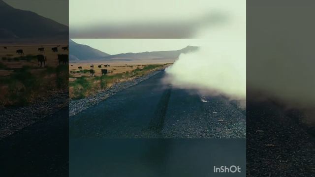 Midi Black, Karazha - Черный Брабус смотреть онлайн