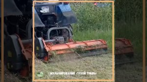 Мульчирование сухой травы трактором МТЗ-82 с навесные мульчером