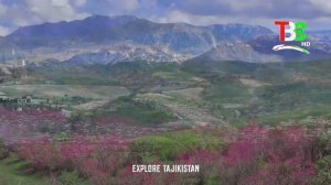 Природа Таджикистана (ВЕСНА 2025)